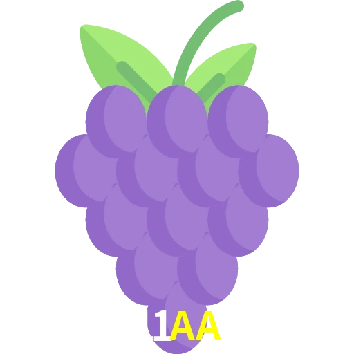11AA
